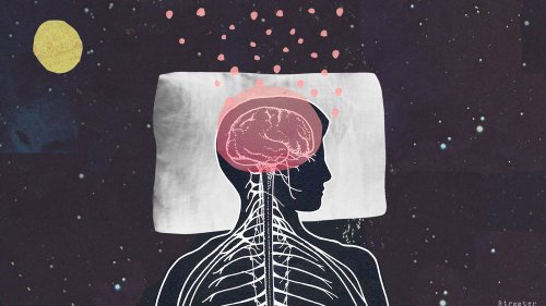 Ever wonder what your brain actually does while you sleep? Scientists now know.