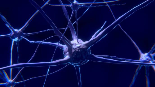 Damaged nerves can be regenerated --- breakthrough in pain management