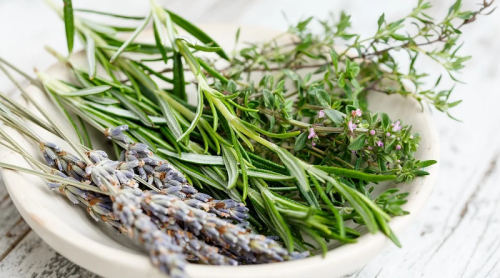 Rosemary found useful against COVID-19, Alzheimers and other diseases