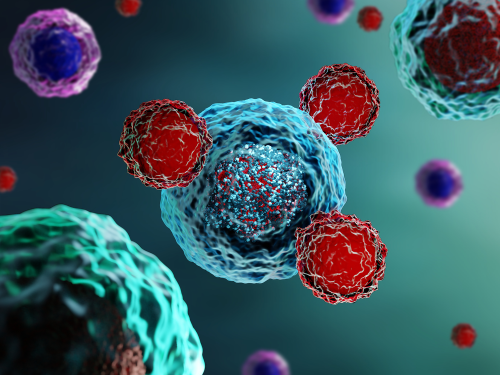 Breakthrough study uncovers protein that eradicates cancer and boosts the body’s immunity