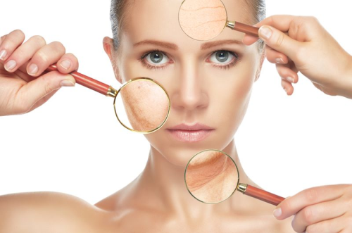 Researchers discover new enzyme that can stop cells from aging