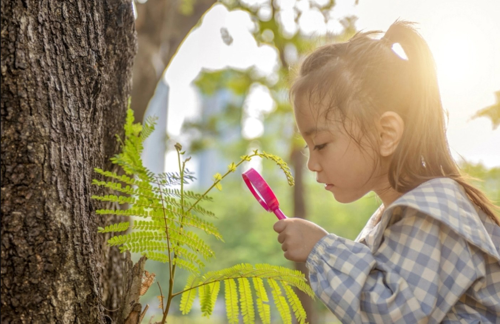 Spending time in nature has a surprising effect on early childhood development