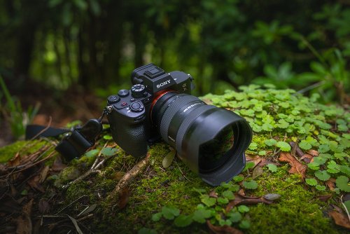 The new A7RV for me as a Landscape Photographer