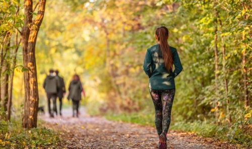 One-hour walk in nature reduces stress, study finds
