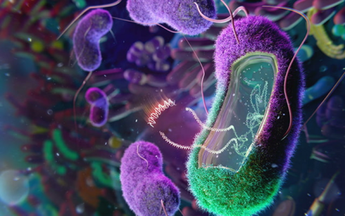 Transgenes carried by bacteria in the gut could reverse Type 2 diabetes and cancer