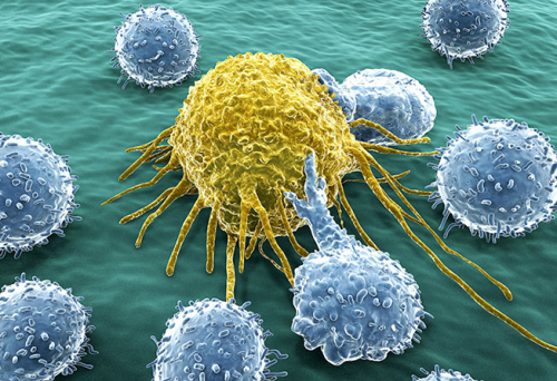Stanford scientists develop synthetic molecule that destroys cancerous tumors