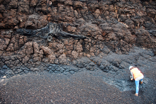 Decline in CO2 cooled earth’s climate over 30 million years ago, scientists find