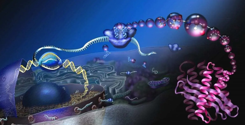 Researchers uncover how all life on Earth began