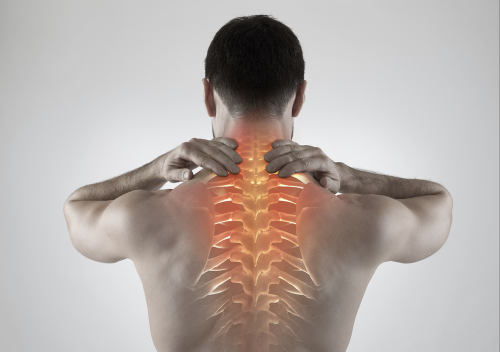 ‘Dancing molecules’ successfully repair severe spinal cord injuries and reverse paralyses