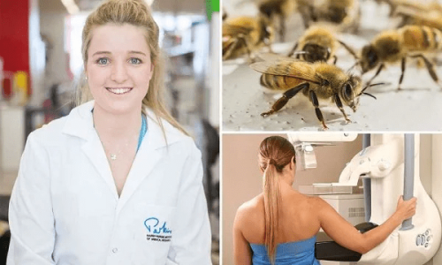 Honeybee venom cures breast cancer, study finds