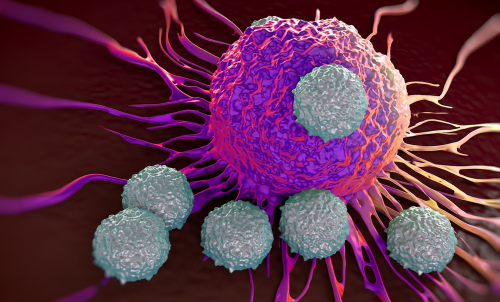 Stanford scientists develop synthetic molecule that destroys cancerous tumors