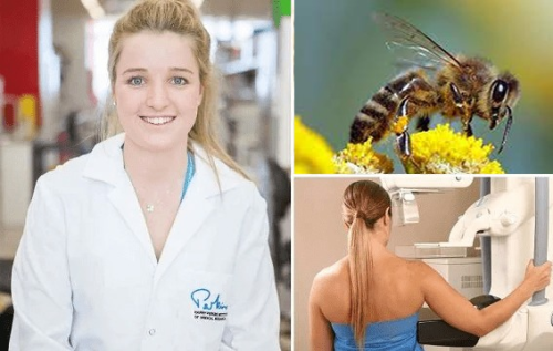 Honeybee venom cures breast cancer, research finds