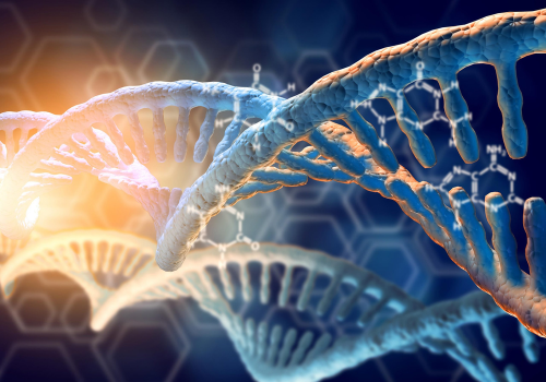 Scientists engineer synthetic DNA to study genes