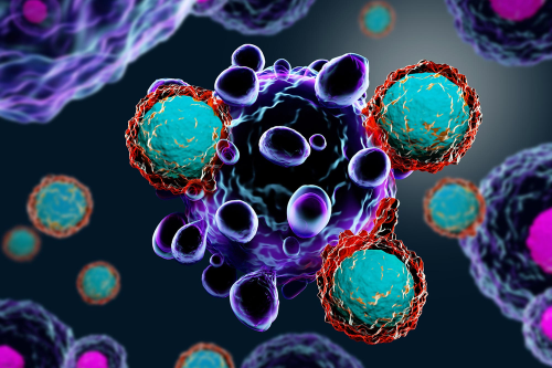 Researchers discover killer T cells that target and eradicate cancers