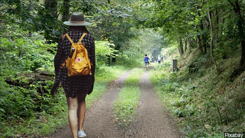relive hiking app relive hiking app