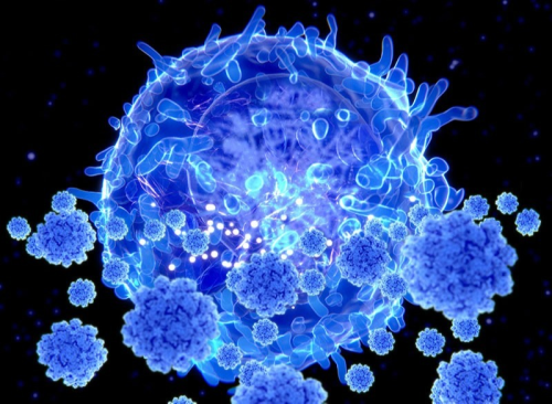 Scientists use killer T cells to eradicate cancer