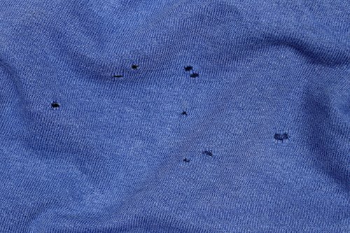 Kleine Löcher in der Kleidung? Schuld sind nicht Motten, sondern...