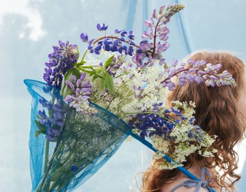 Nationalblume von Portugal: Dieses gut gehütete Geheimnis trägt sie in sich