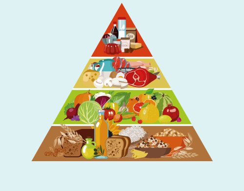 Die Lebensmittelpyramide hat dich alle die Jahre angelogen