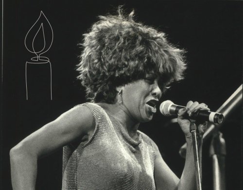 Tina Turner ist tot: Reaktionen aus dem Netz zum Tod der "Queen of Rock"