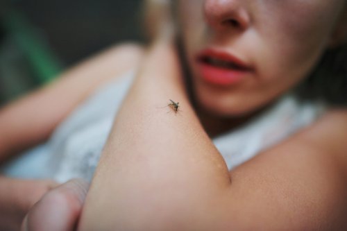4 Gadgets, mit denen du lästige Mücken fernhältst