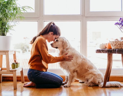 Hundesprache: Das wollen Hunde dir mit ihrem Verhalten sagen