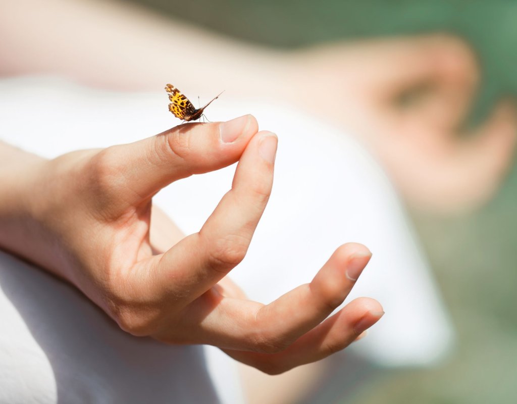 Yoga Wellbeing