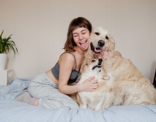 Charaktereigenschaften von Hunden: Diese Fellnase passt perfekt zu dir