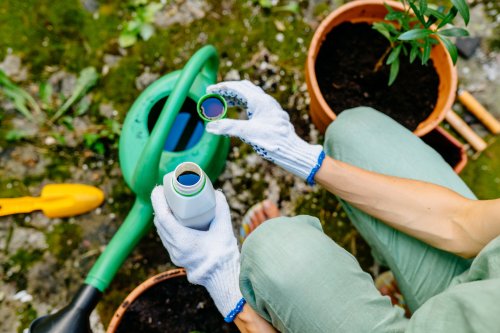 Urin als Dünger: In diese 6 Gartenpflanzen solltest du pinkeln