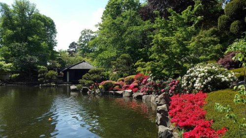 Waldbaden: Jeden Monat im Japanischen Garten