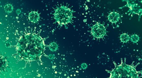 Corona Fallzahlen des Gesundheitsamts