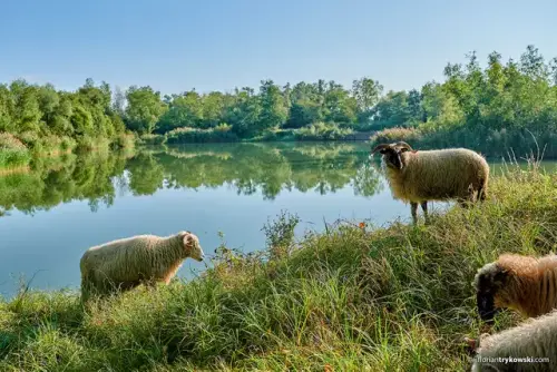 Geologie-, Industrie- und Naturerlebniswanderung in Eisenberg