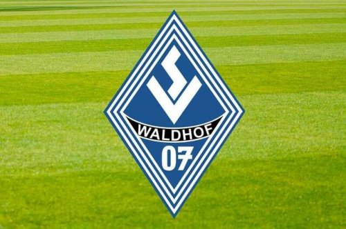 Der SV Waldhof Mannheim 07 und Trainer Christian Neidhart gehen getrennte Wege