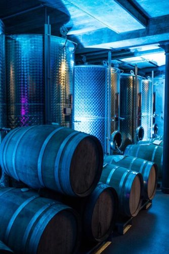 [Anzeige] Weinprobe in St. Martin: Nacht der offenen Weinkeller mit 13 Weingütern