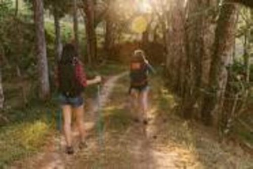 Kurzwanderung (Wanderführerin oder Wanderführer dringend gesucht!)