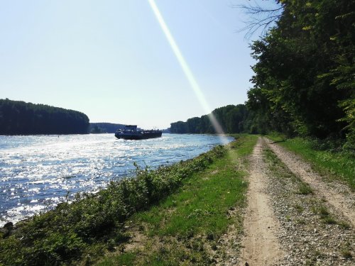 Geheimnisvolle Heimat: Auf den Spuren der Treidler vom Rhein