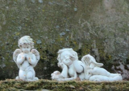 Frankenthal cover image