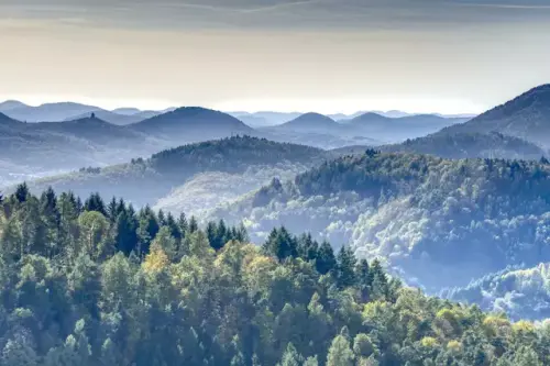 47 Kerosinablässe seit 2018: Pfälzerwald als Abladezone?