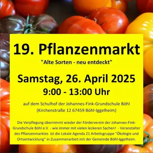 Am Samstag ist Pflanzenmarkt bei der Grundschule Böhl