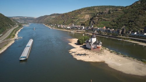 Rhein-Schifffahrt: Pegel bei Kaub bei 36 Zentimetern