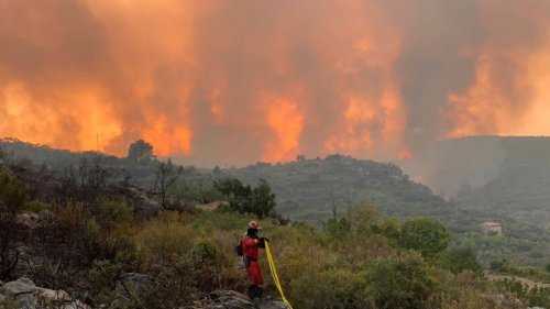 Costa Blanca: Schlimmster Waldbrand seit 10 Jahren - Urlauber in Gefahr?
