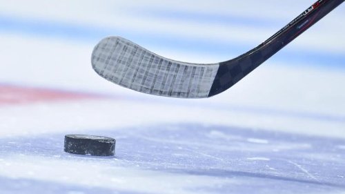 DEL plant schnelle Reduzierung auf 14 Clubs