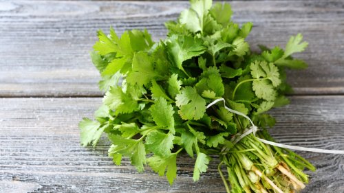 The Health Benefits of Cilantro: Are They Real or Are They a Sham?