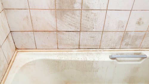 Is Pink Mold in the Shower Dangerous? Mold Experts Weigh In + How To Clean It With Ease