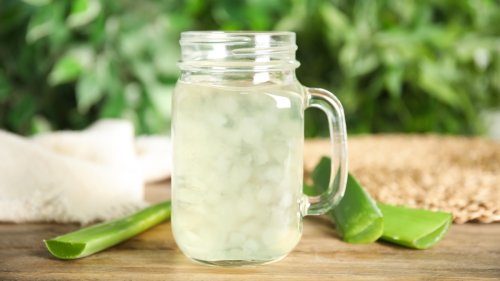 Aloe Vera for Heartburn: Experts Agree It’s One of Nature’s Best Remedies