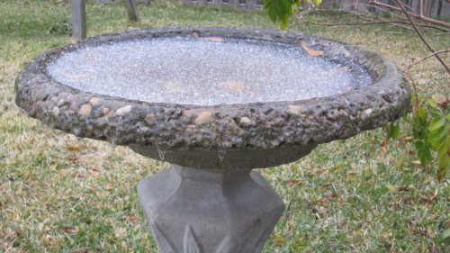 Attention Bird Lovers: These Easy Hacks Will Prevent Your Birdbath From Freezing (Without Chemicals or Electricity)