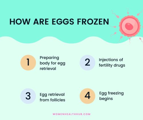 Why Do Women Freeze Their Eggs?