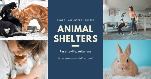 Animal Shelters in Fayetteville, Arkansas