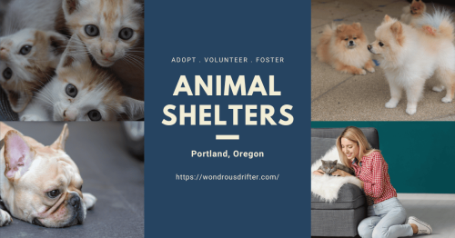 Animal Shelters in Portland, Oregon