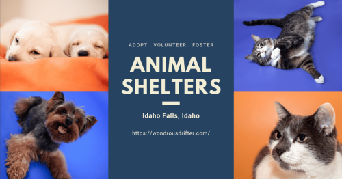 Animal Shelters in Idaho Falls, Idaho
